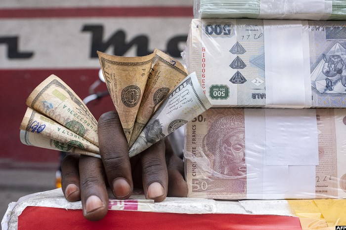 Keberuntungan Menanti di Hutan Congo Cash